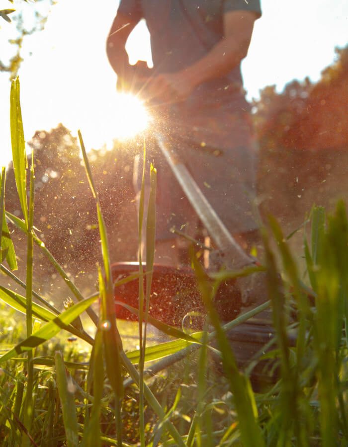 Entretien jardin - AJ SOS MULTISERVICES - Artisan tous corps d’état à Sainte-Maxime